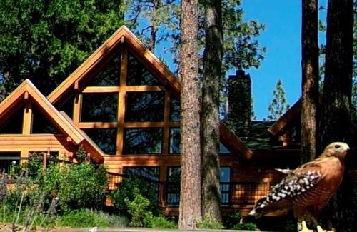 Forest Ranch Cabaña | Lavender Log Home Cottage