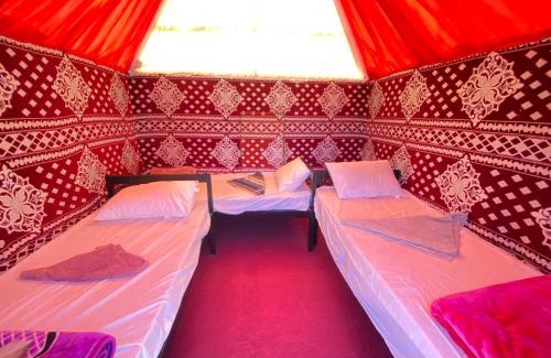 Wadi Rum Cama Y Desayuno | Lawrence Spring camp & tours