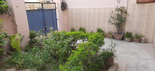 Varanasi Casa | Laxmi Cottage