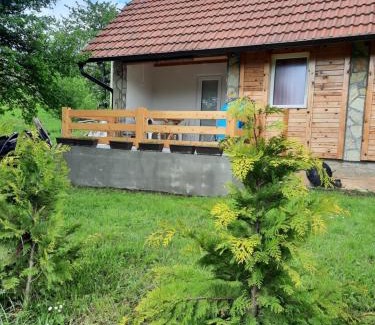 Bajina Basta Casa | Lazareva kuća