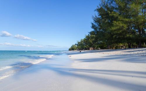 Kiwengwa Cama Y Desayuno | Lazy Beach House