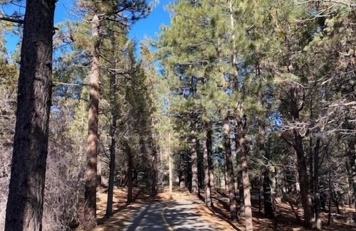 Woodlands Cabina | Lazy Bear Cabin - 2br/1ba/single Story Mountaineer Style Cabin/smart Tv/cable/netflix/hulu/roku/wifi 2 Bedroom Cabin