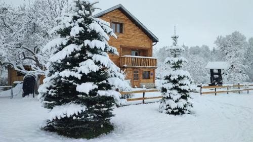 Donji Lapac Chalet De Esquí | Lazy bear