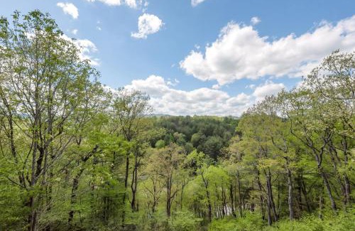 Jefferson Casa | Lazy Dog Log Cabin, Hot Tub, Fishing Lake, New River Access, Foosball