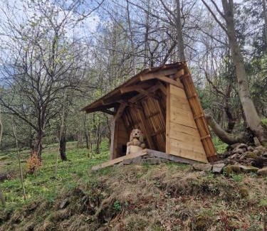 Polany Chalet De Esquí | Leśna Głusza