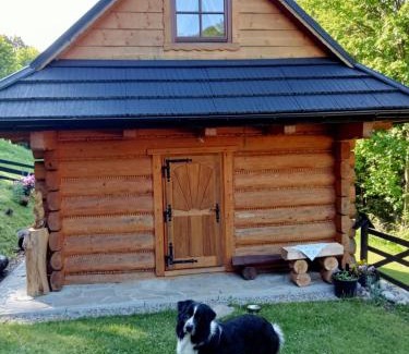 Polany Chalet De Esquí | Leśna Głusza