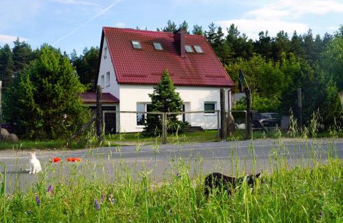 Cekcyn Casa | Leśna Kryjówka
