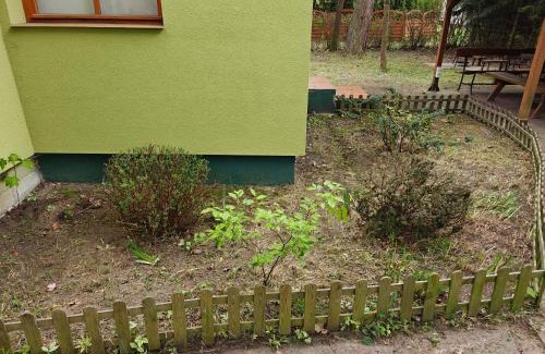 Miedzychod Casa | Leśna Ostoja w centrum Puszczy Nadnoteckiej otoczona 3 jeziorami