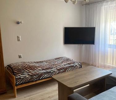 gmina Augustow Casa | Leśne Zacisze