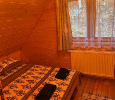 Ochotnica Dolna Casa | Leśne Zacisze