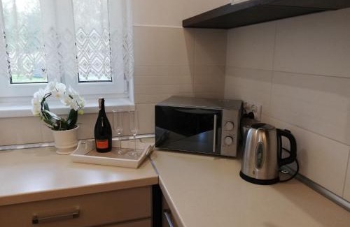 Szczytno Apartamento | Leśny Apartament II