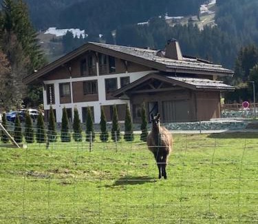 Le Planellet Apartamento | LE 1307