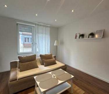 Mulhouse Apartamento | # Le 3 # Joli appartement T3 Mulhouse centre, Neuf, calme et tout équipé