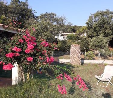 Terravecchia-Portoquadro Casa | Le agavi