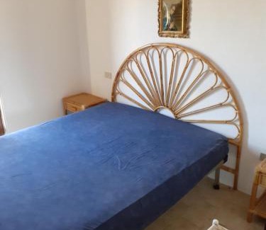 Terravecchia-Portoquadro Casa | Le agavi