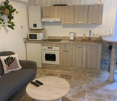 Mer Apartamento | Le Beau Pichot - 2 appartments, 2 chambres, jardin, max 4 pers