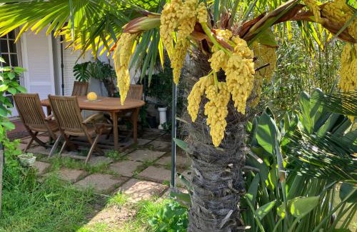 Ex Campo d'Aviazione Apartamento | Le Bodole