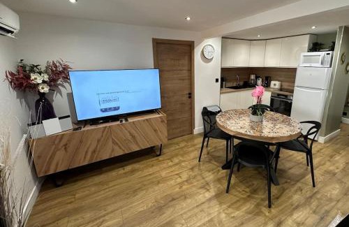 Poincare - Foch - Anatole France - Croix de Bourgogne Apartamento | Le Briand Appartement 4étoiles Nancy Thermal Cosy avec Terrasse Wifi
