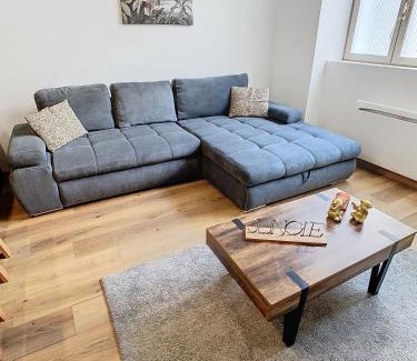 Voiron Apartamento | Le cèdre de Jori