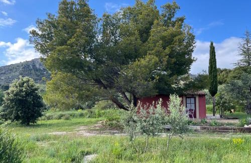 Saint-Hippolyte-le-Graveyron Casa | Le Cabanon des oliviers