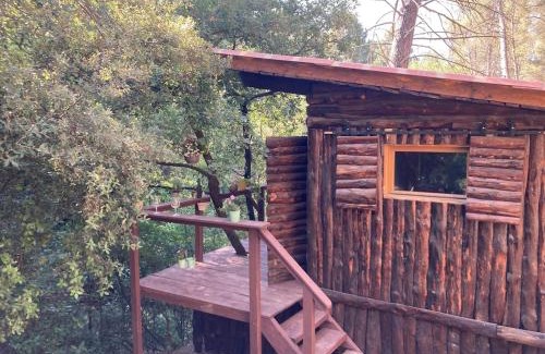 Nord Chalet De Esquí | Le Cabanon d 'Aix