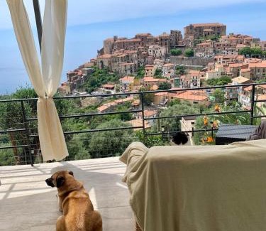 Marina di Pisciotta Apartamento | le case dei fiori