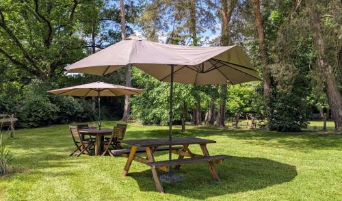Folles Casa | Le chalet des apiculteurs