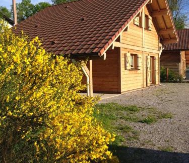 Thiefosse Chalet De Esquí | Le Chalet des Neiges