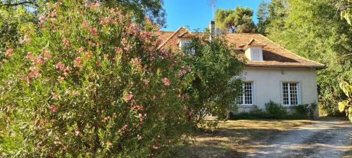 Bergerac Casa | Le Chalet du Moulin Blanc