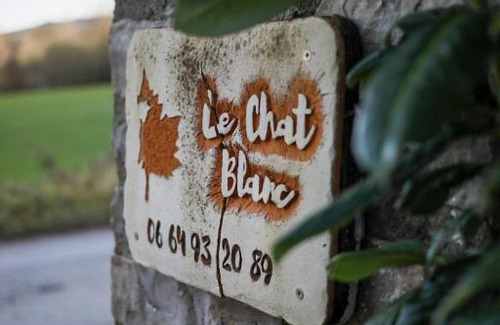 Versols-et-Lapeyre Casa | Le Chat Blanc Gîte