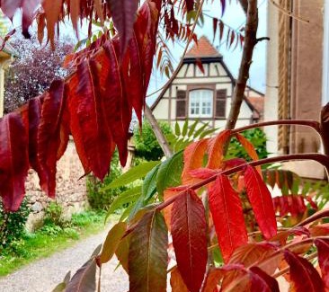 Flexbourg Casa | Le Clos d’Azel - Le gîte du cocher avec piscine