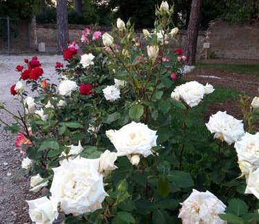 Chorey-les-Beaune Casa | Le Clos des Roses