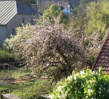 Brenod Cama Y Desayuno | Le Clos Marie