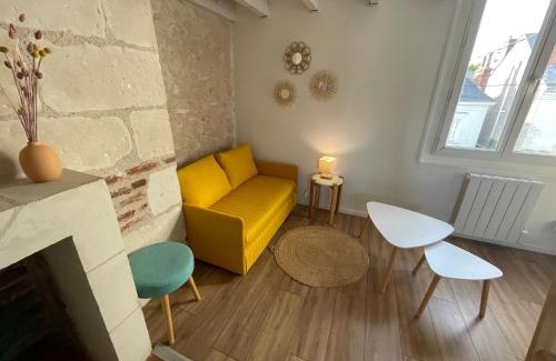 La Fuye-Velpeau Apartamento | Le Cocon du Rempart Studio de charme avec mezzanine TOURS centre