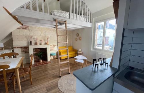 La Fuye-Velpeau Apartamento | Le Cocon du Rempart Studio de charme avec mezzanine TOURS centre
