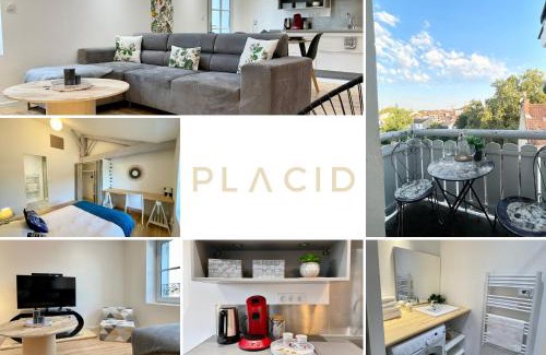 Mont-de-Marsan Apartamento | Le Cocon Landais - Clim - Balcon - Central - Spacieux - Lumineux