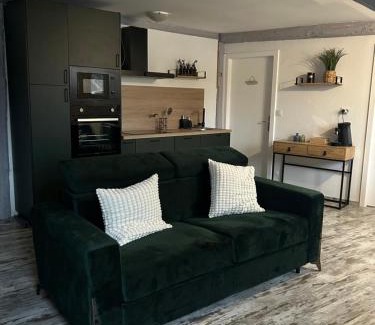 Selestat Apartamento | Le Cosy Green - centre-ville
