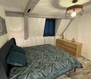 Selestat Apartamento | Le Cosy Green - centre-ville