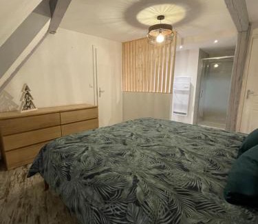 Selestat Apartamento | Le Cosy Green - centre-ville