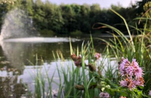 Bourbourg Casa | Le Cottage de l etang