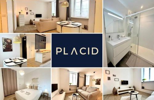 Mont-de-Marsan Apartamento | Le Despiau - Parking - Clim - Fibre - Proche Base