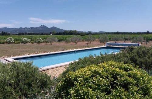 Violes Cama Y Desayuno | Le Domaine de Tini