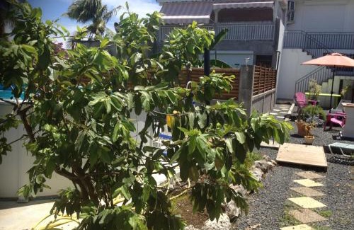Anse-Bertrand Complejo | Le Domharry