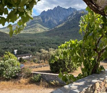 Moltifao Casa | LE ELLA ENTRE MER ET MONTAGNE