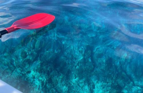 Teahupoo Casa | Le Fare Bambou de Raiatea l'île sacrée