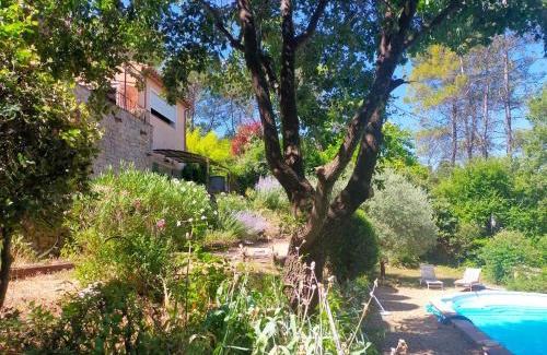 Carces Apartamento | Le Figuier appart 2-3 pers en plein vignoble avec piscine privée à 30mn des gorgesdu Verdon et des plages