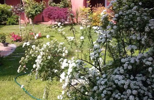 Caselle Torinese Cama Y Desayuno | Le ginestre