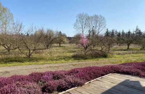 Neung-sur-Beuvron Chalet De Esquí | Le Gite De L'etoile Du Jour
