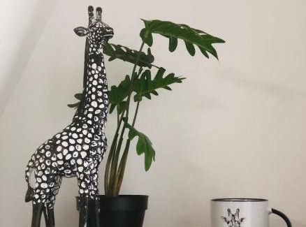Louviers Casa | LE GITE DE LA GIRAFE CENTRE VILLE LOUVIERS