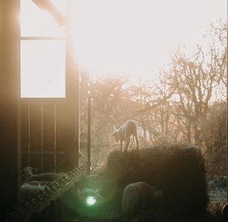 Roumare Casa | Le gite de Melmont
